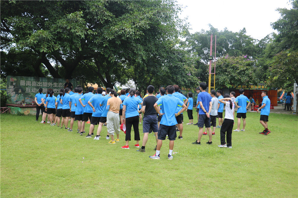 一家成功公司的神奇团建活动